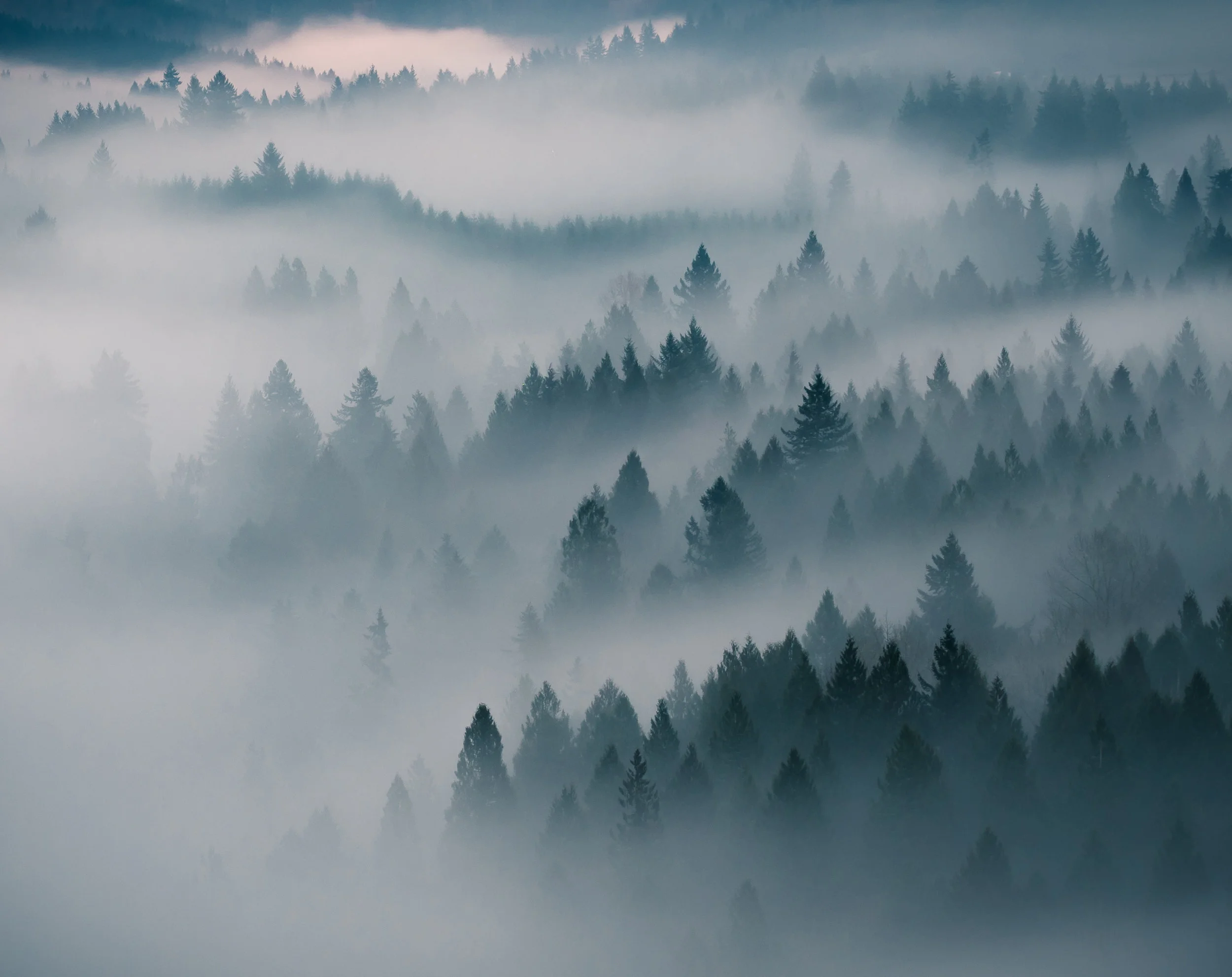 BO16 - 2016-12-24 - Fog - 195840.jpg