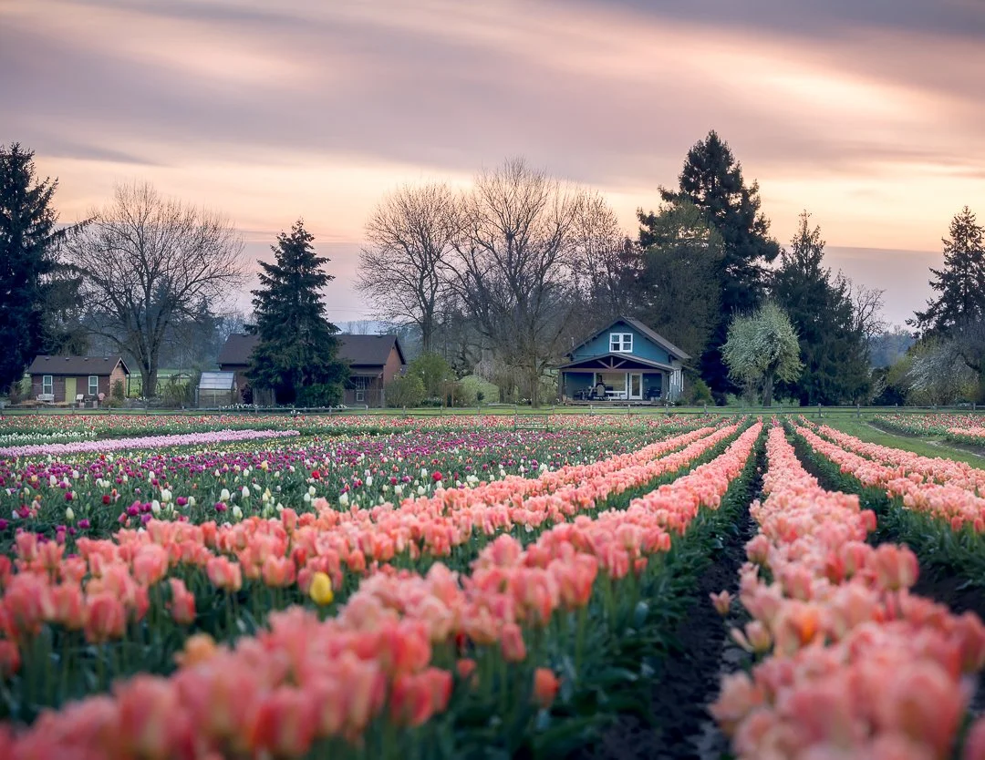 IG - 2025-04-04 -  658779-Edit.jpg