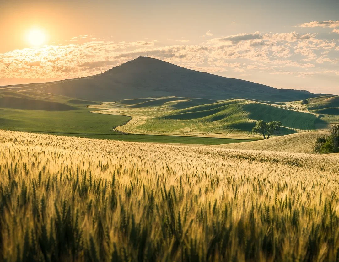 IG - 2024-06-21 - 625194-HDR-Edit.jpeg