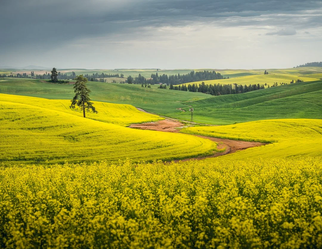 IG - 2025-06-20 -  673038-Edit.jpg