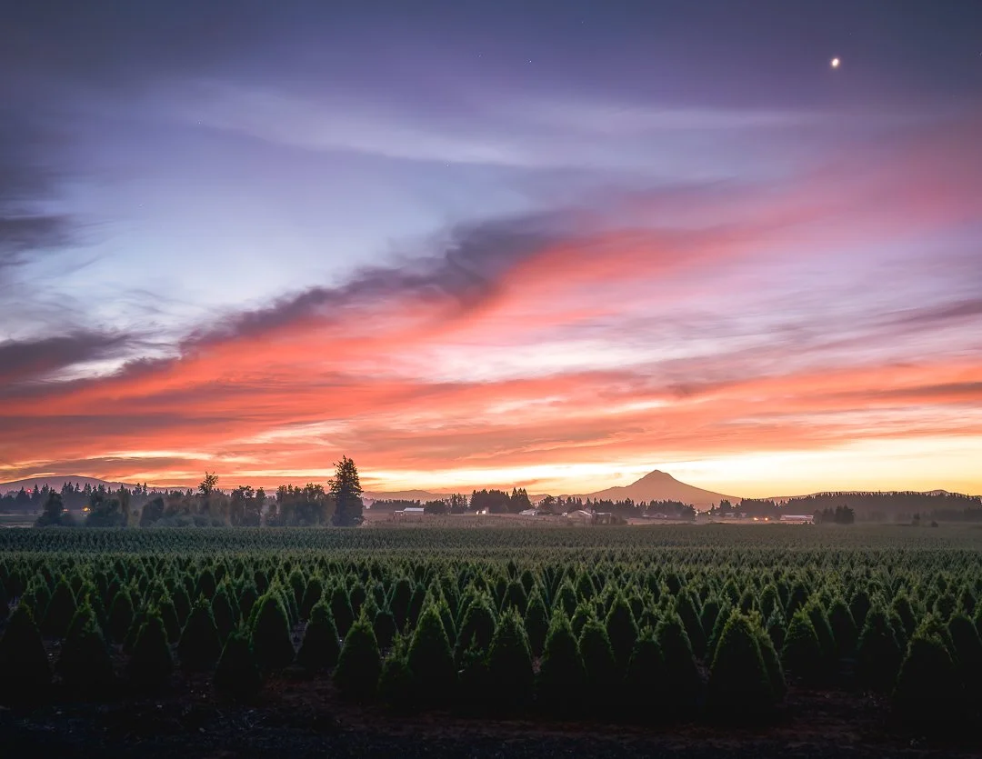 IG - 2023-09-17 - 592678-Edit.jpeg