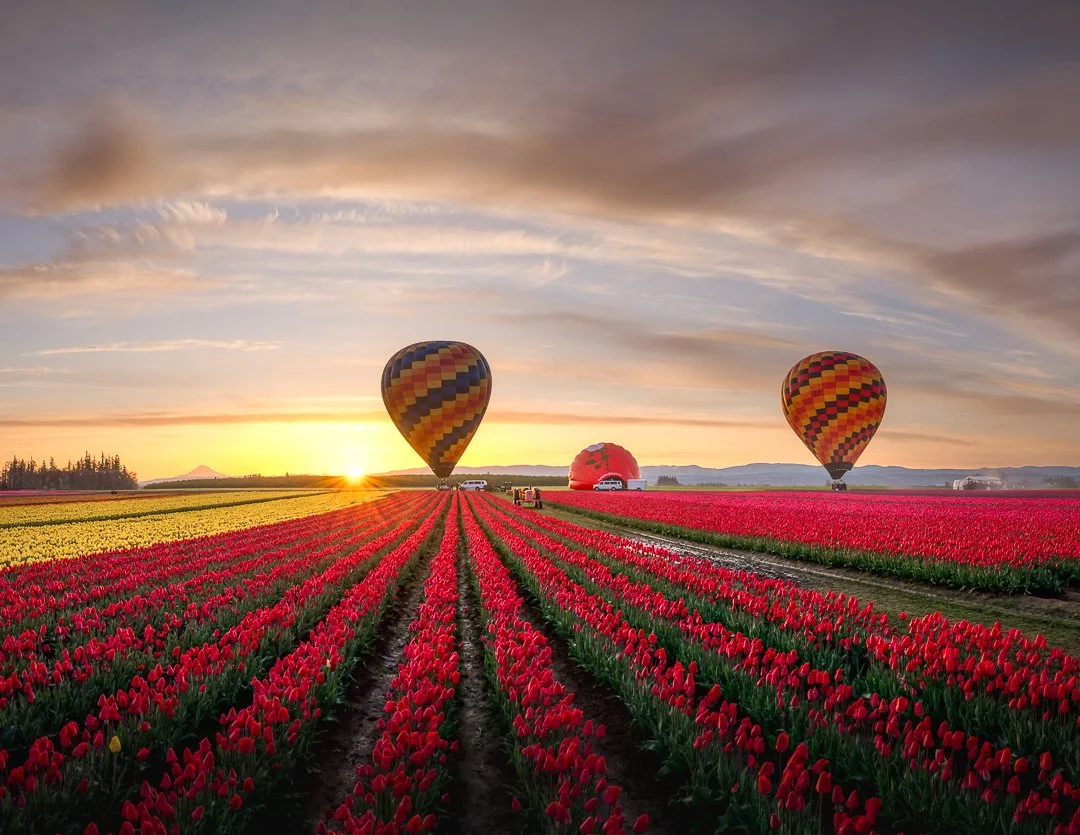 IG - 2025-04-05 -  659018-Pano-Edit.jpg