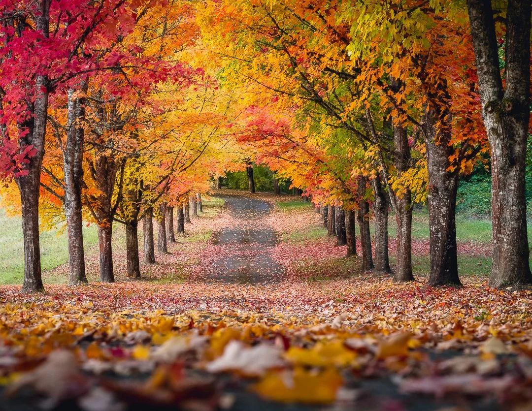 IG - 2025-10-16 -  688394-Edit.jpg