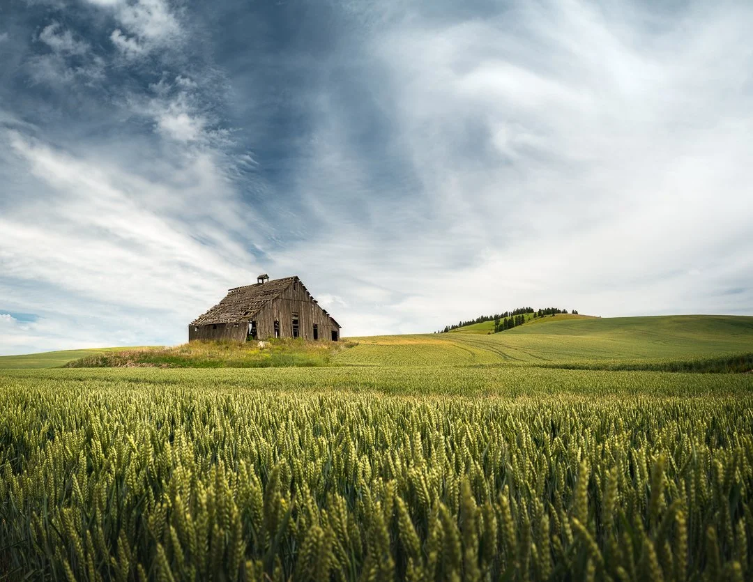 IG - 2025-06-19 -  671379-Pano-Edit.jpg