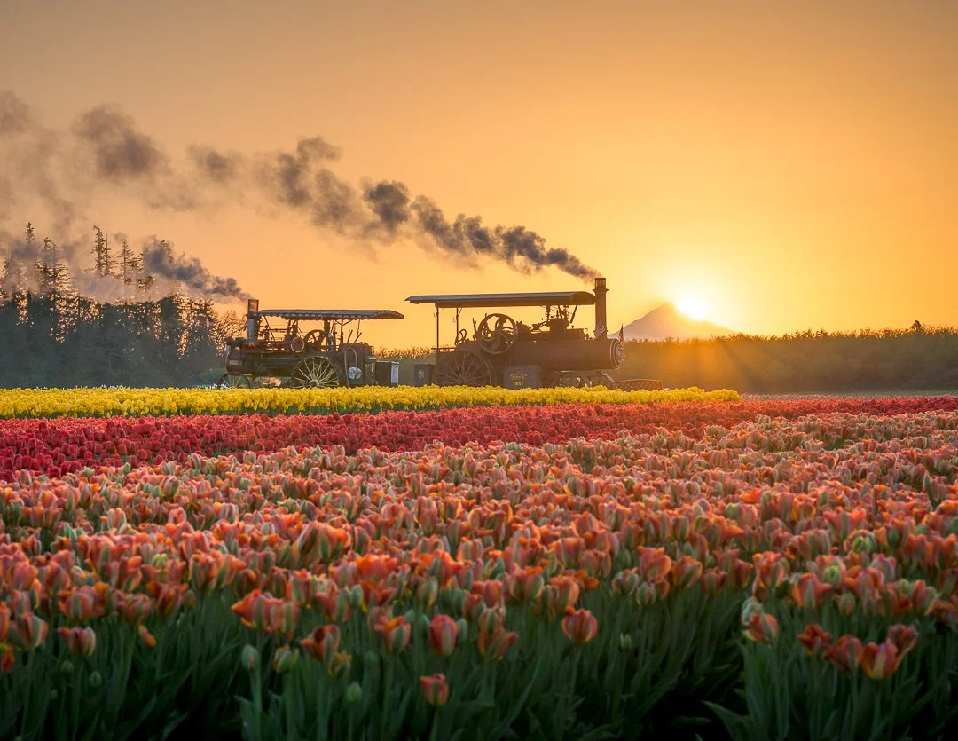 IG - 2023-04-28 - 572840-Edit.jpeg