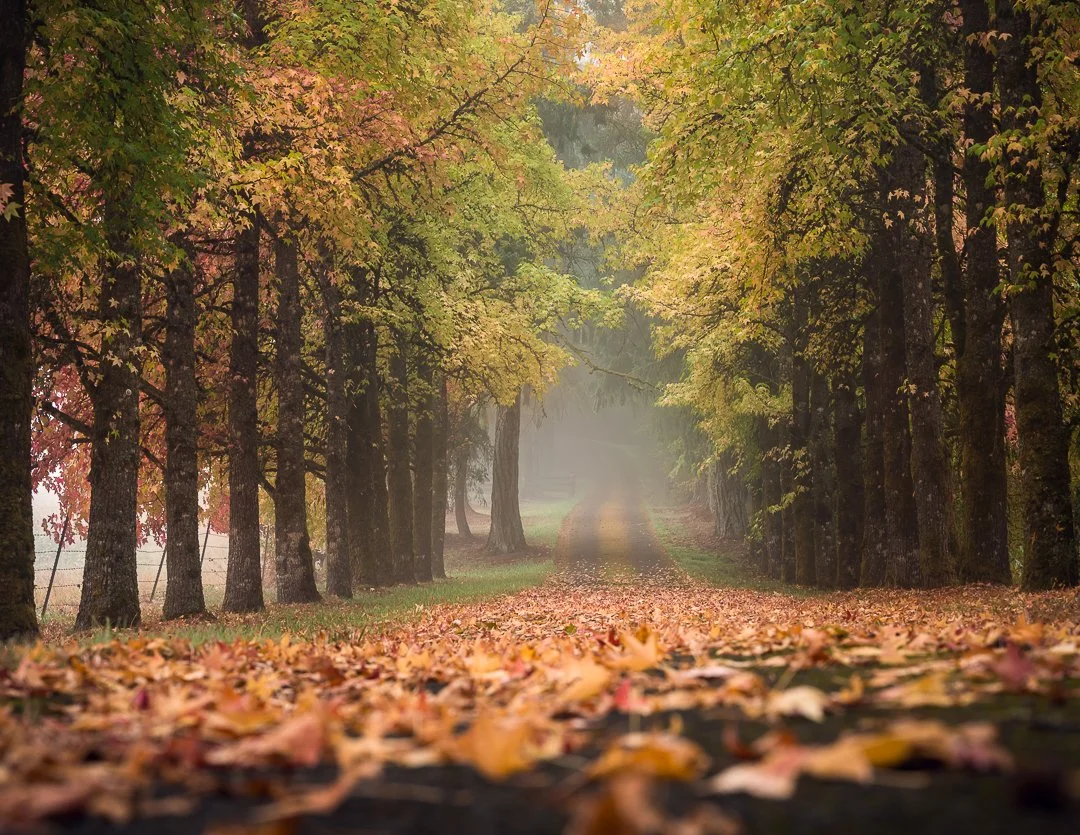 IG - 2024-10-20 - 638101-Pano-Edit.jpeg