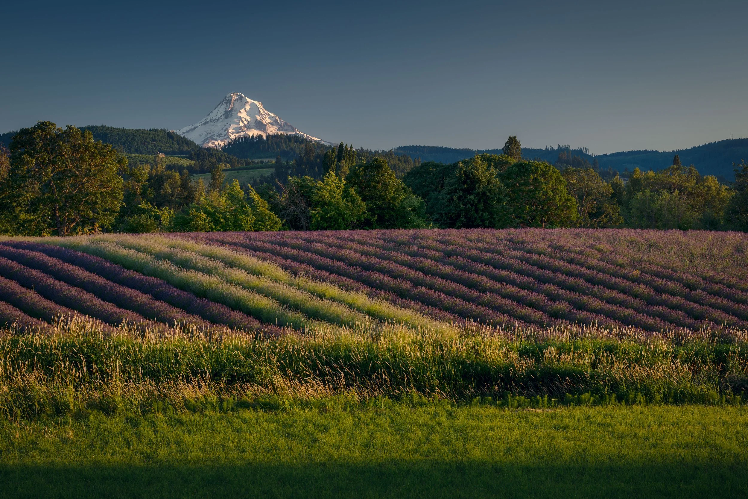 SP-HQ-2024-07-07 - 628024-Pano-Edit.jpg