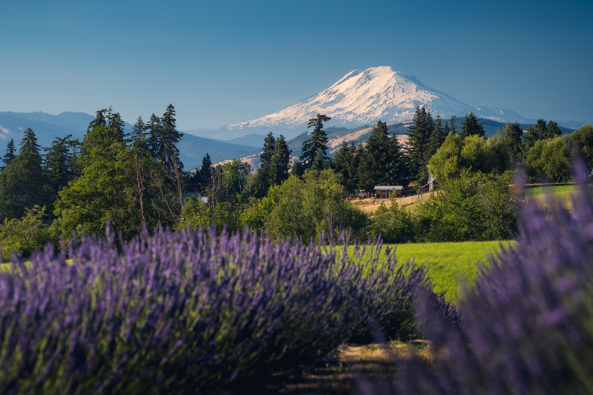 SP-HQ-2024-07-07 - 627828-Edit.jpg