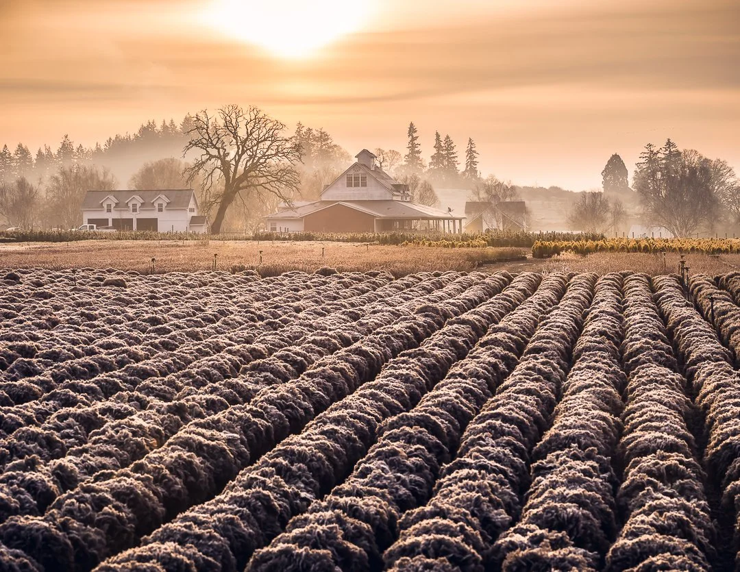 IG - 2023-02-16 - 564874-Pano-Edit.jpeg