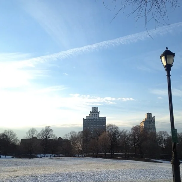 Prospect Park - you wouldn't know it from this photo, but there were joggers and walkers and bike riders and horse riders and tobogganers and ice skaters - the place was packed.