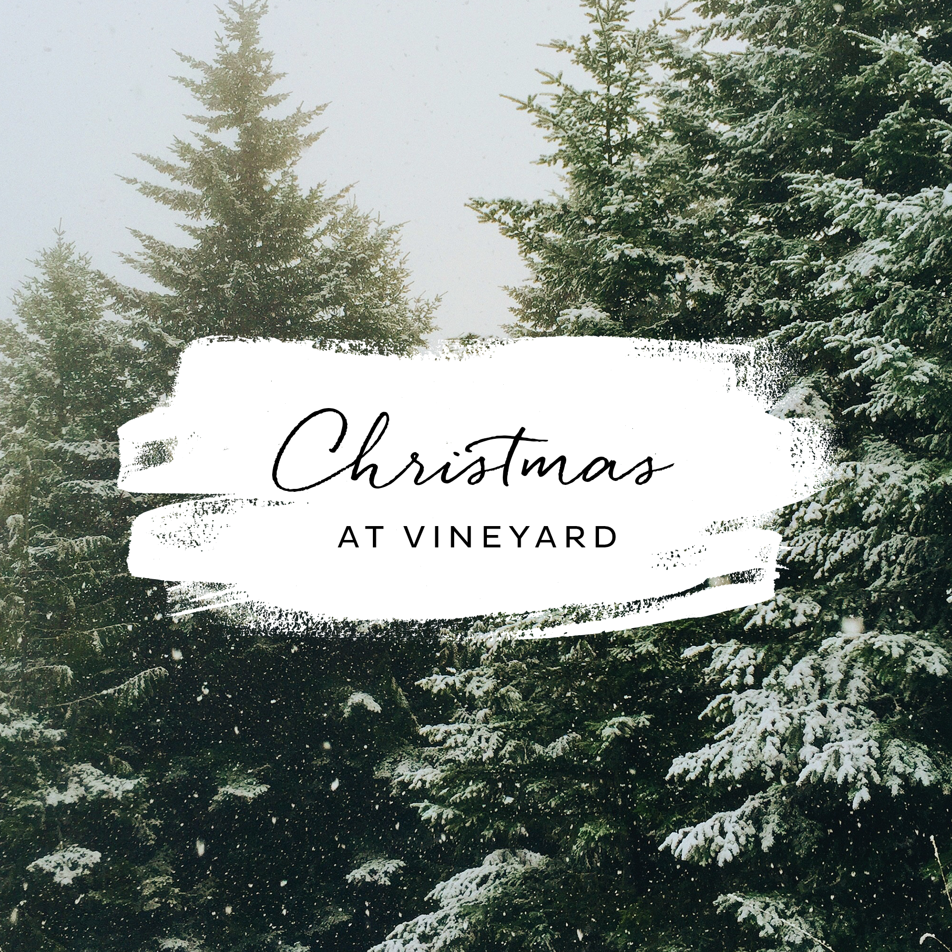 Christmas_Vineyard_2016_Square.png
