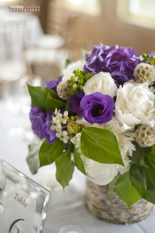 ©mckay imaging_V527.jpg