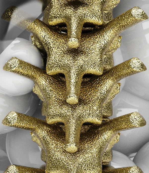 closeup3.jpg