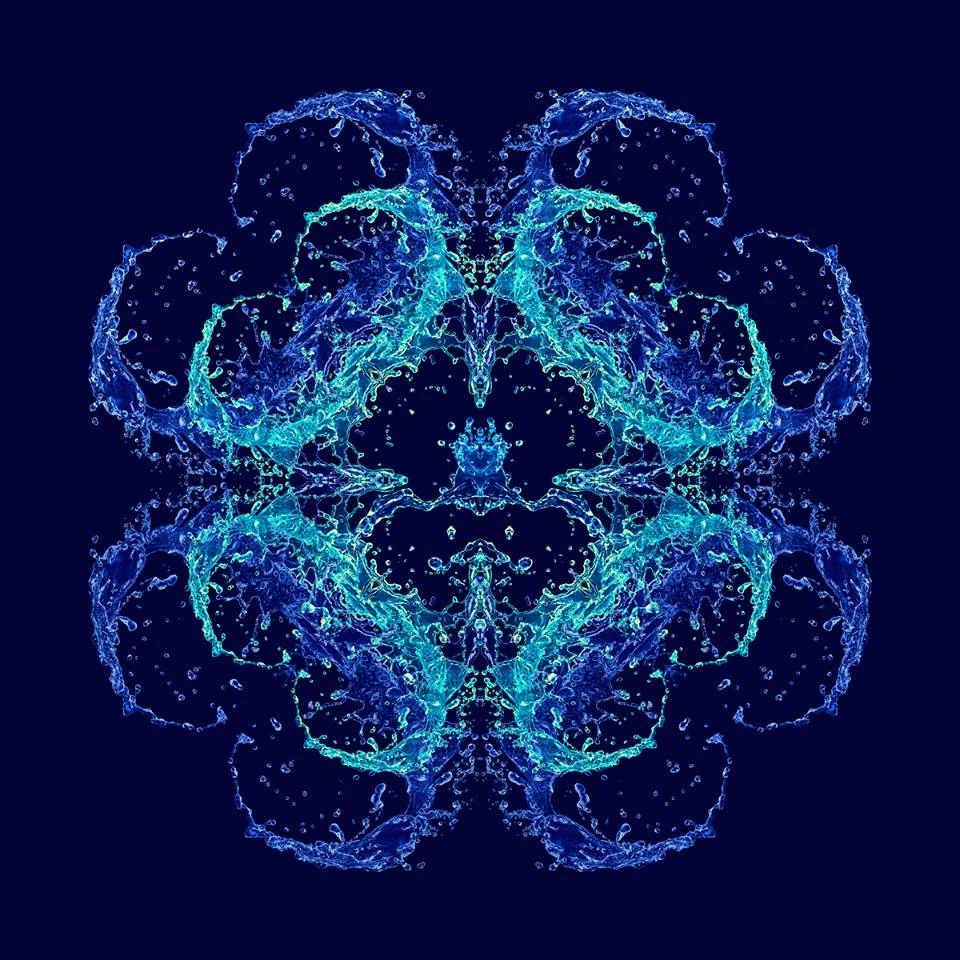 1280482_233895330099936_1816428802_n.jpg