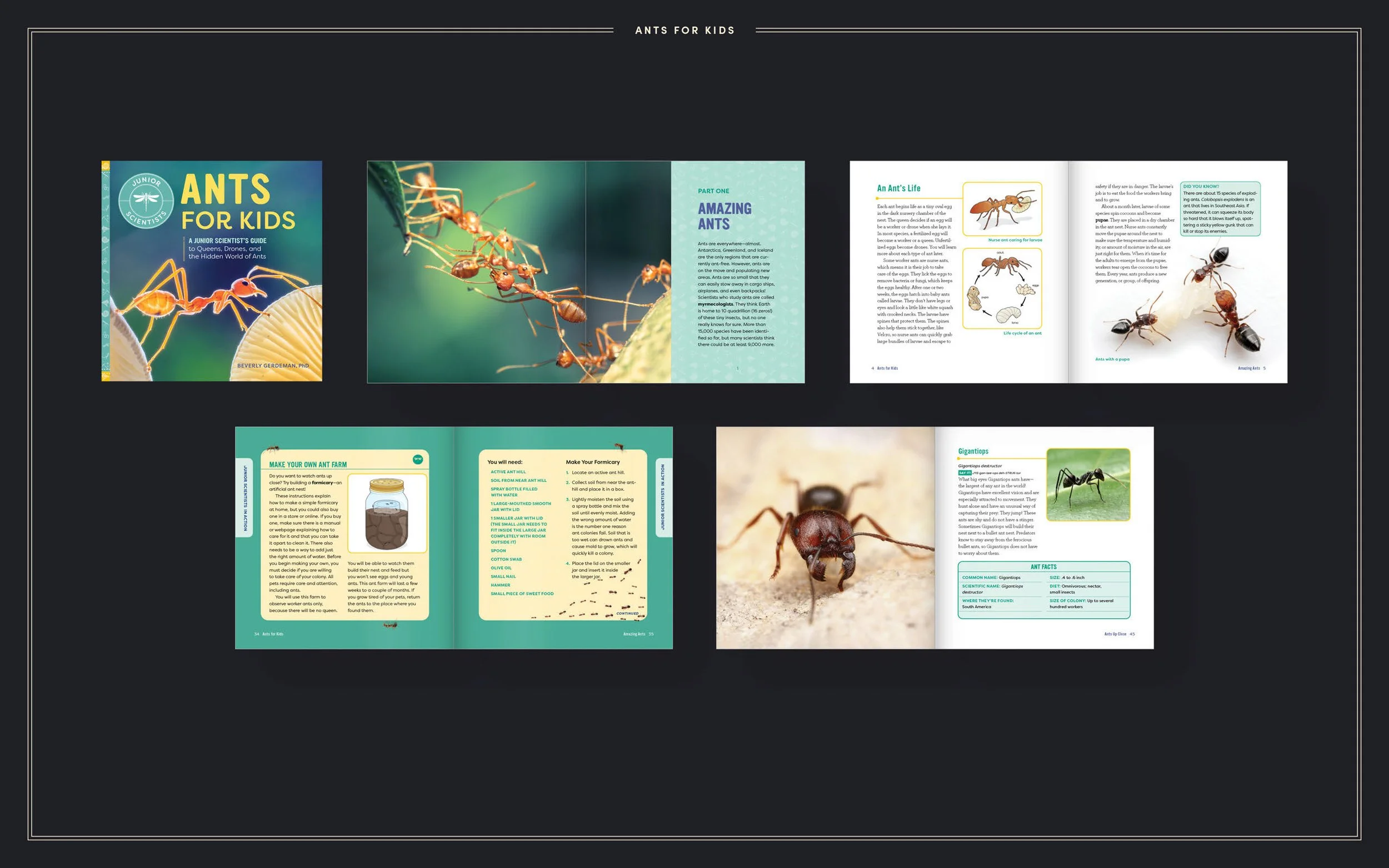 CalmeyerDesign-Portfolio-BookInteriors-051123 (1)_Page_12_Image_0001.jpg