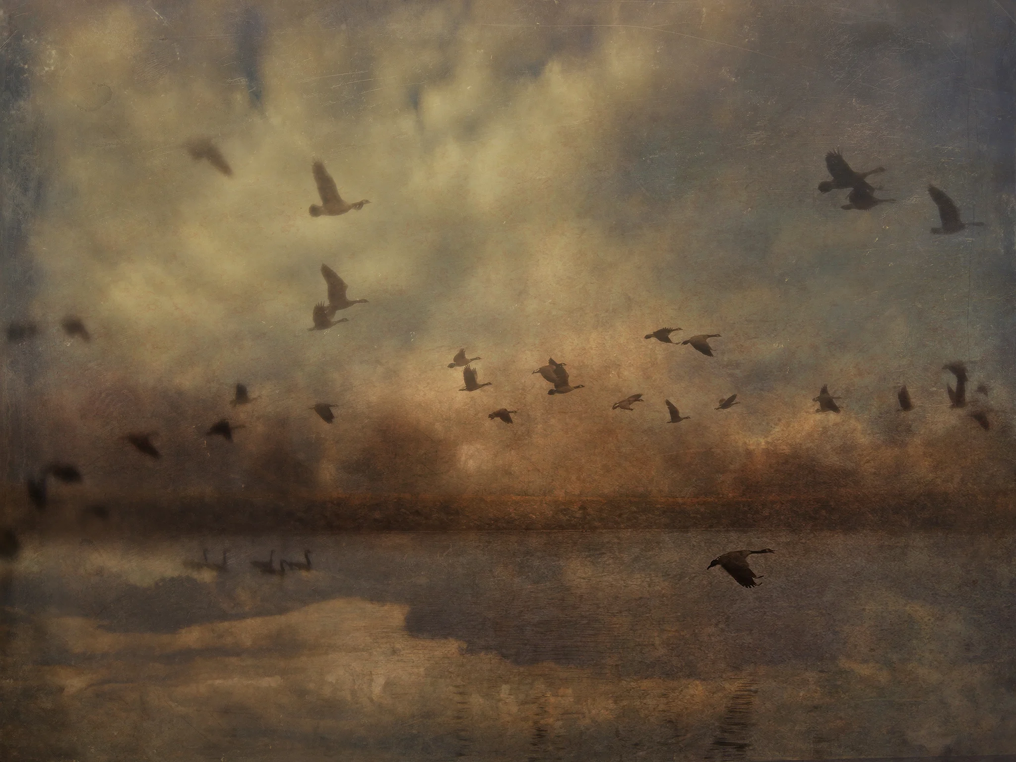 Geese & Fog 