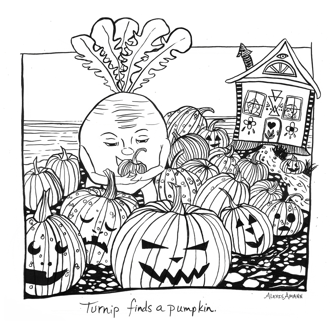 18 Turnip Finds a Pumpkin 72 wm.jpg