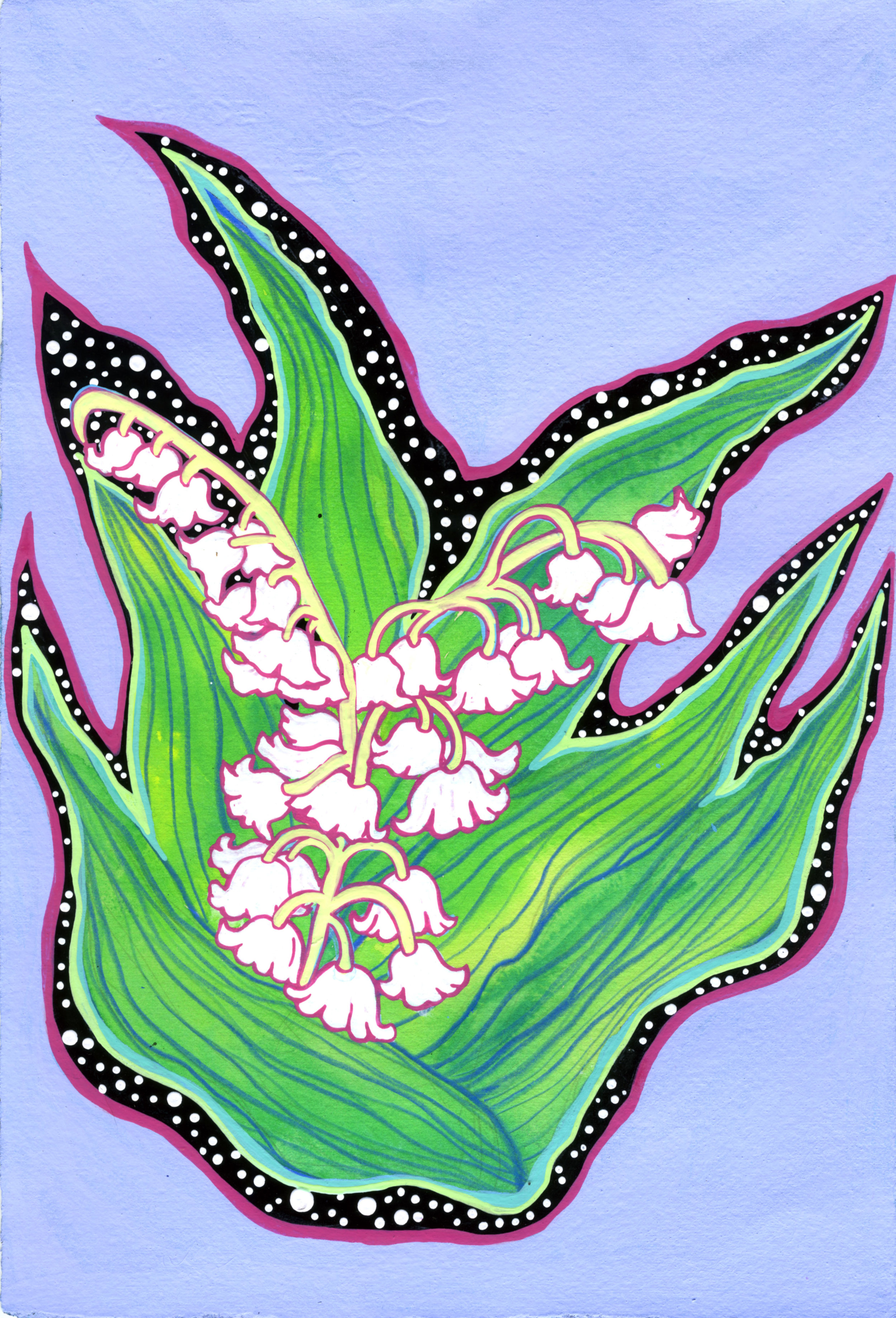 Lily of the Valley