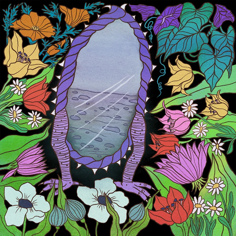 Amann Mirror -- Devils Mirror small.jpg