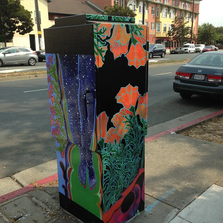 Amann Utility Box Blue and Poppies 72.jpg