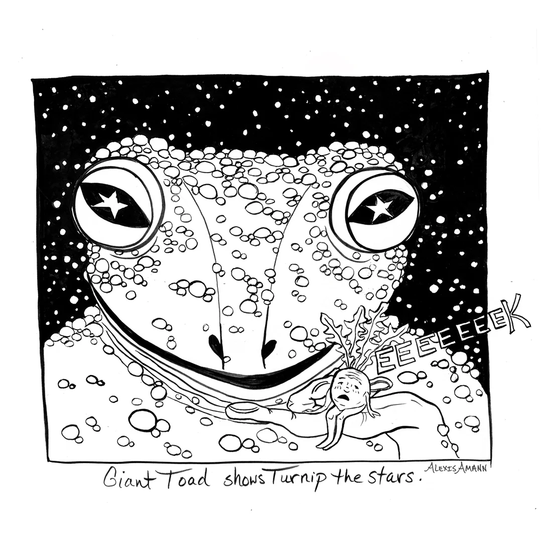 9 Giant Toad Shows Turnip the Stars 72wm.jpg