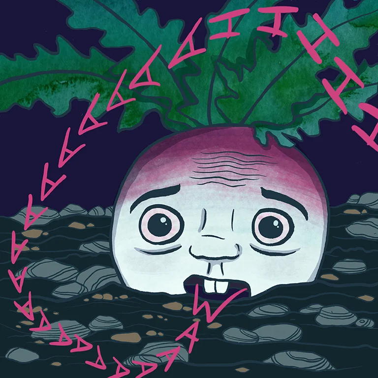 8Turnip100days flatbright web size.jpg