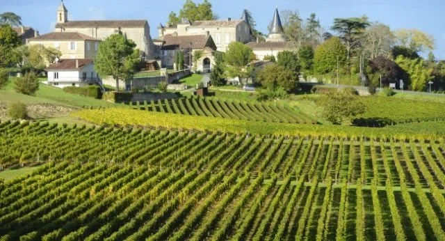 vineyard-saint-emilion-bordeaux-and-the-wine-country-france_main-640x346.jpg