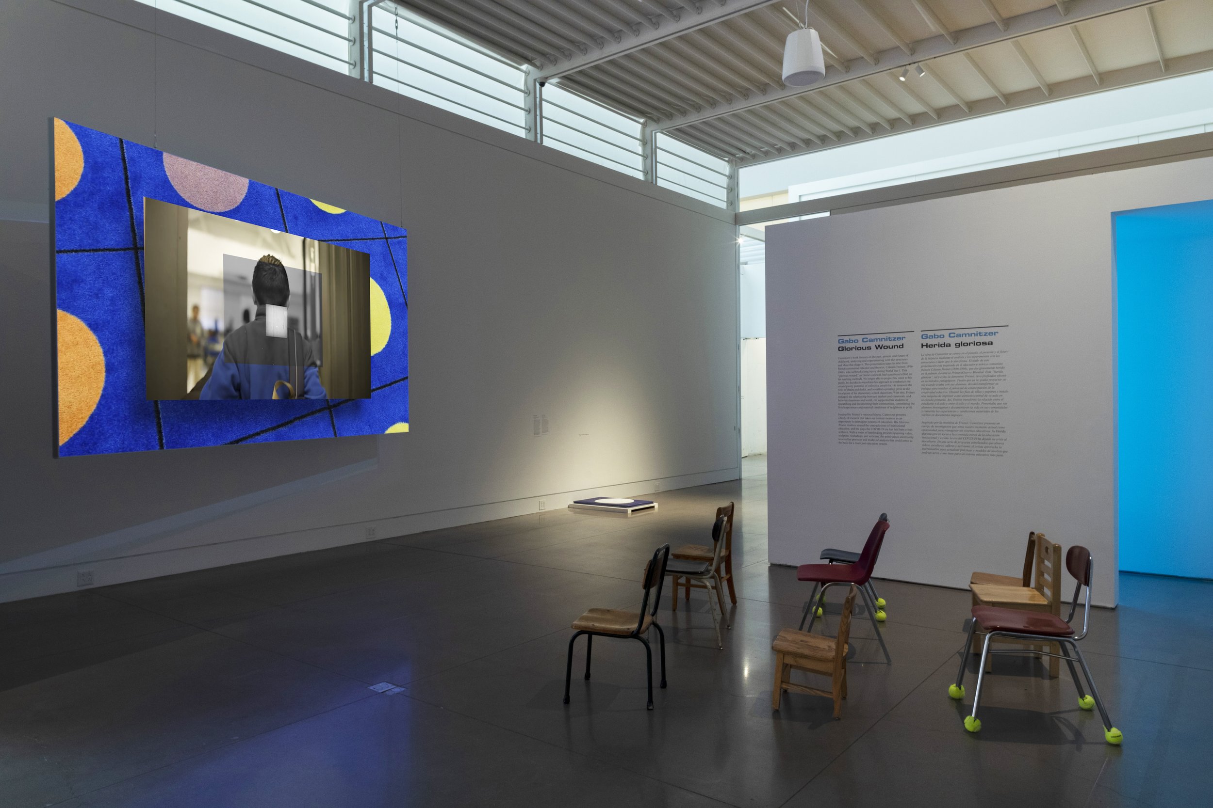 Gabo Camnitzer Installation View 2.jpg