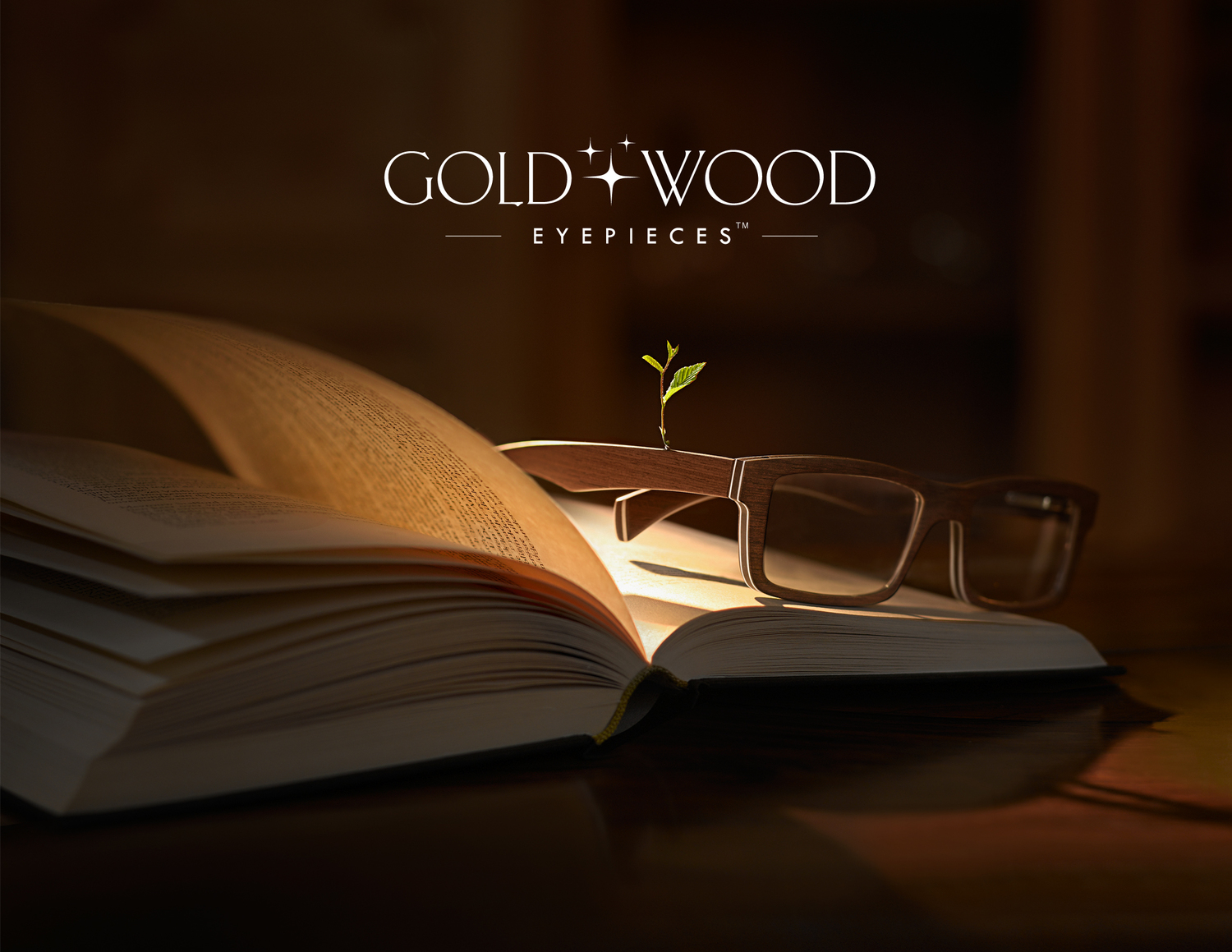 Gold and Wood.jpg