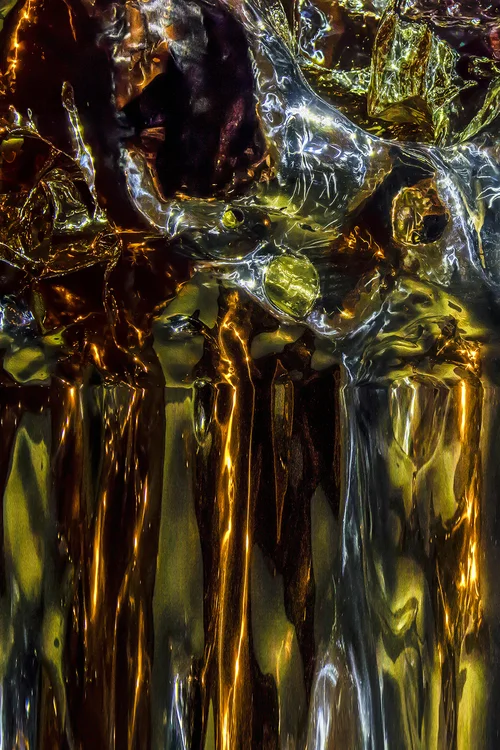 "Sojourners Passing Through Time and Space" H - 60" x W - 40 " Series: "Mythology Past and Future" Digitally hand painted archival pigment photograph, face mounted to Plexiglas, Dibond back. Elaine Sigwald is honored to have received the Best of Show Award for this work which was exhibited in the 2014 ACE Exhibition at the Palm Springs Art Museum, in Palm Springs Ca.