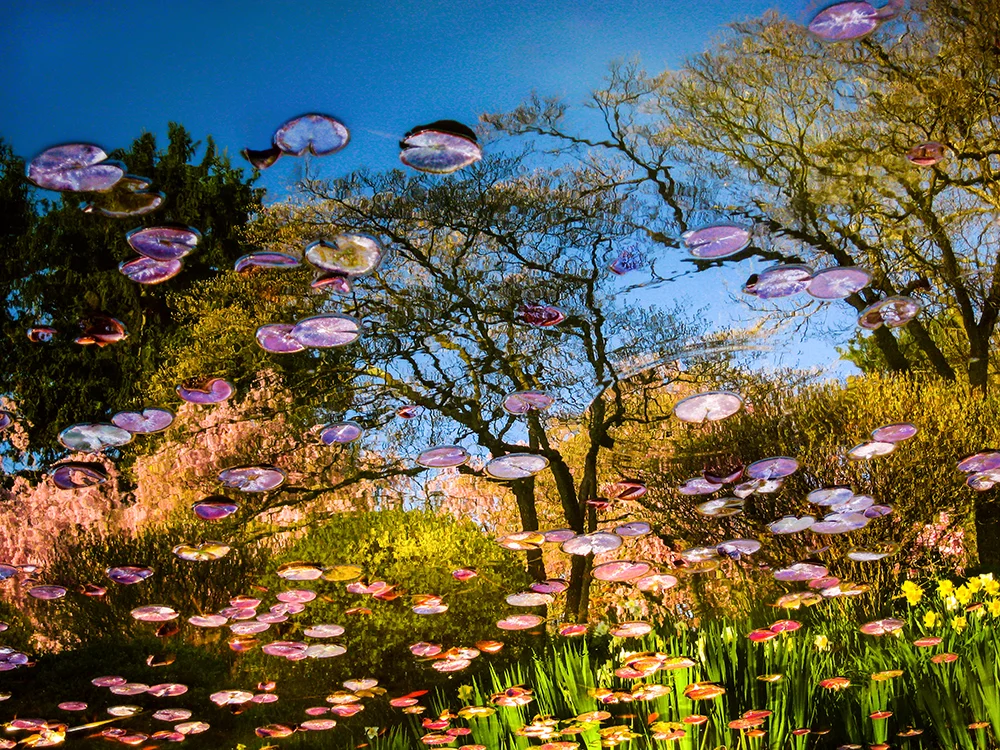 Lily's Pond H-18" x W-24"