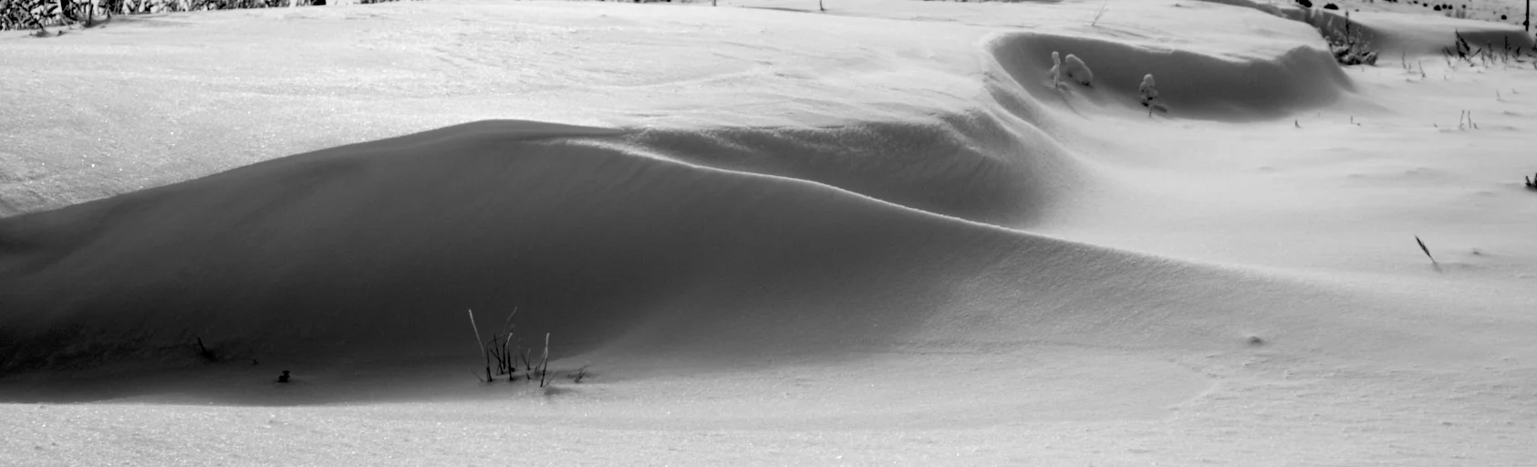 Photo Friday - Winter