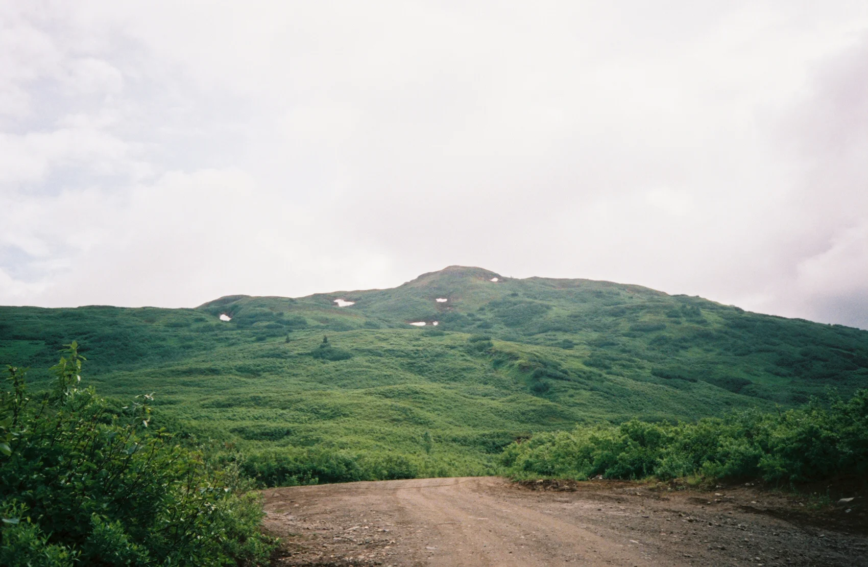 FH000023_2.jpg