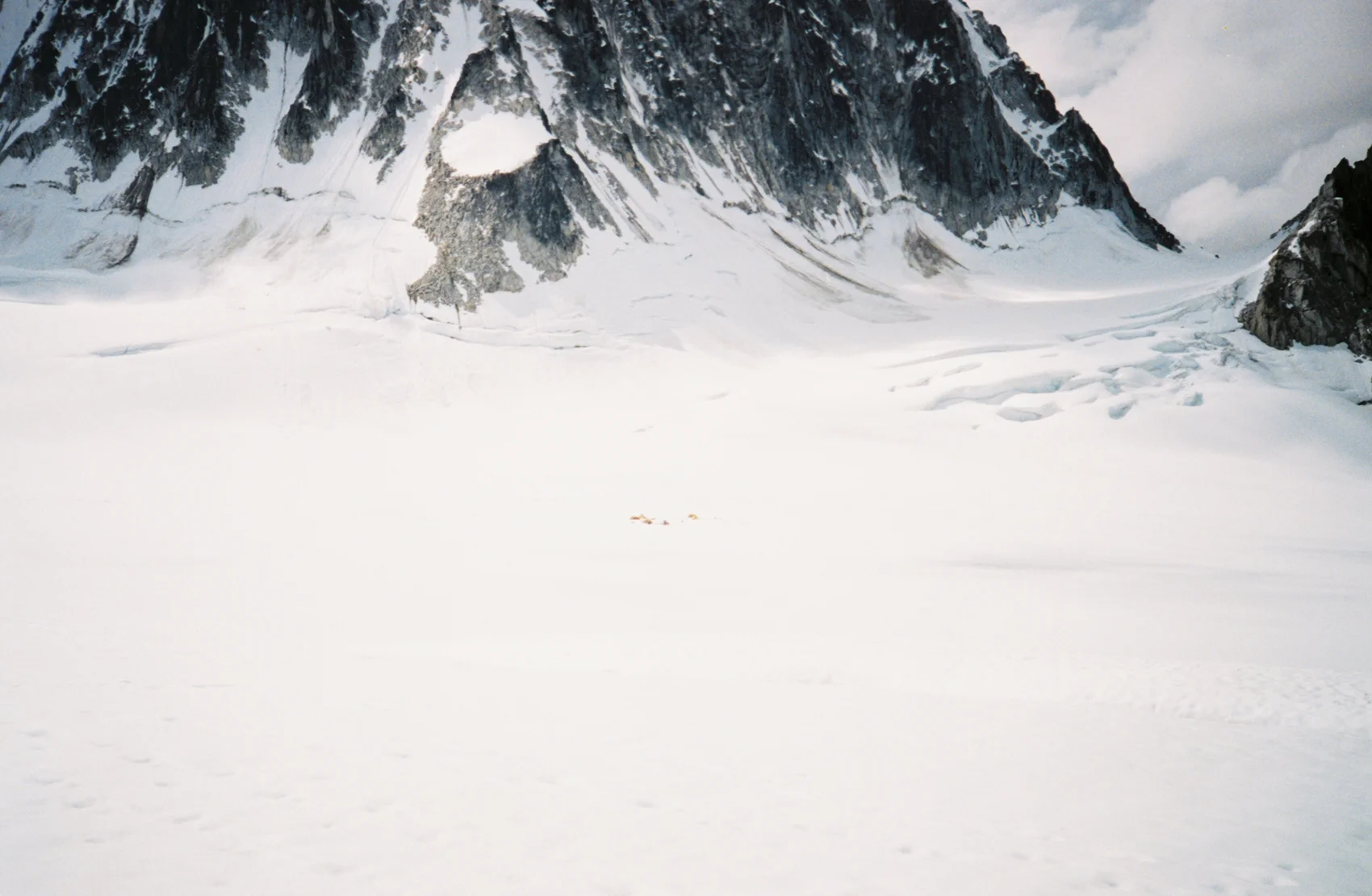 FH000024_3.jpg