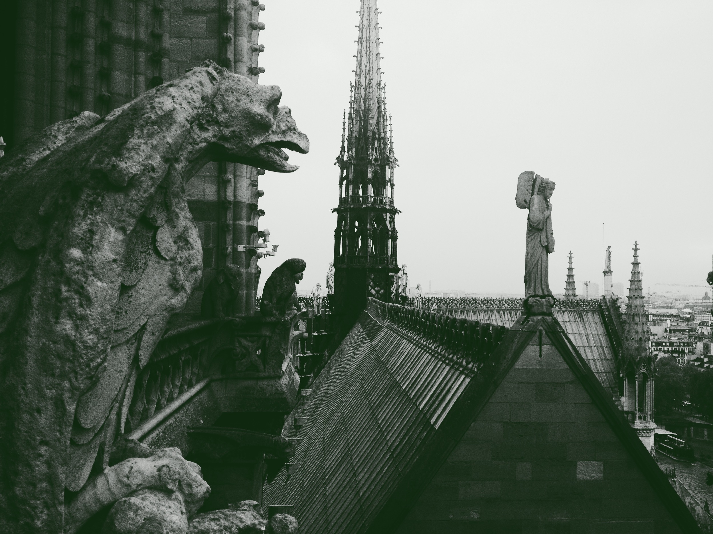 From Notre Dame