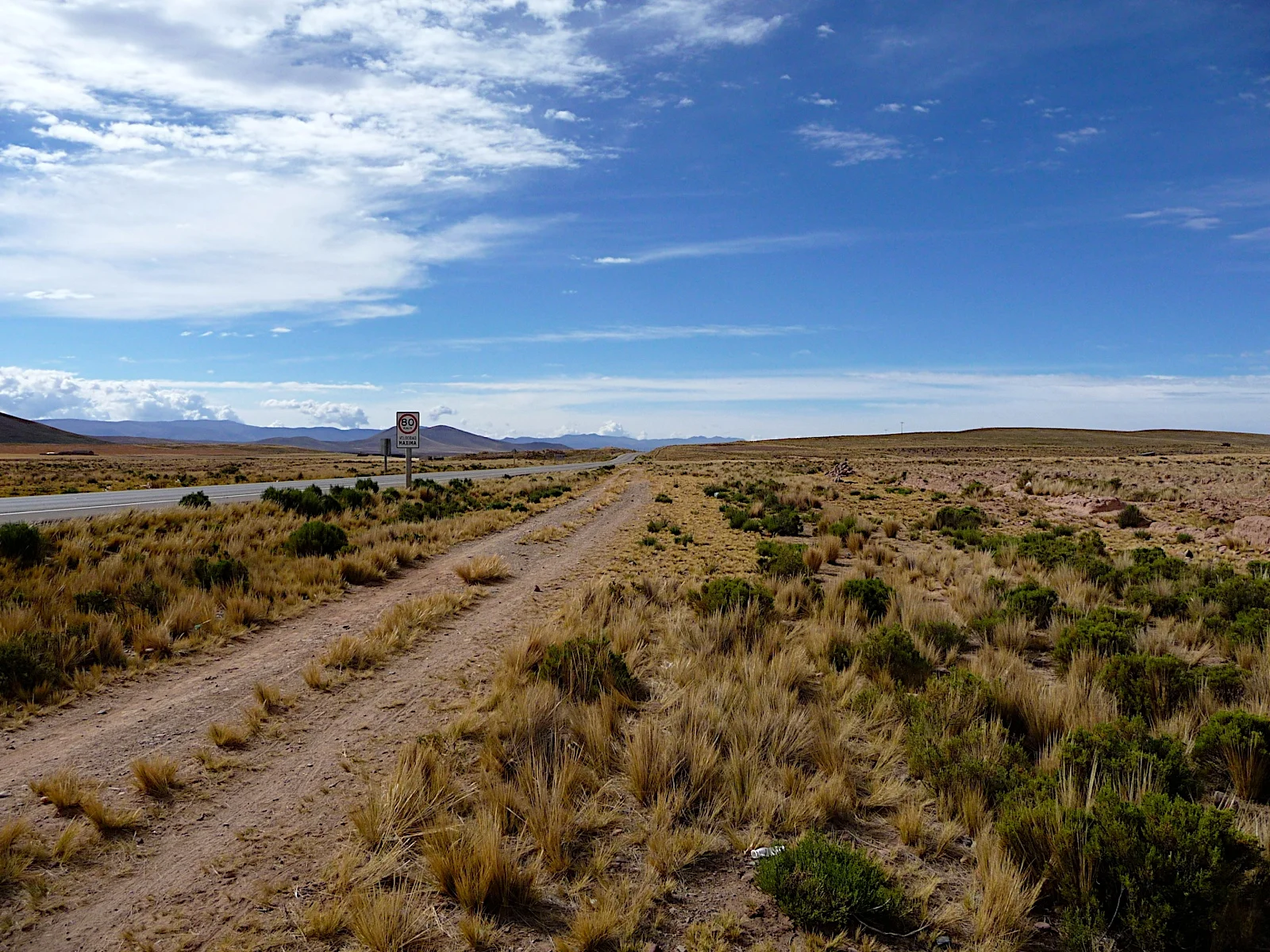 P1000157.jpg