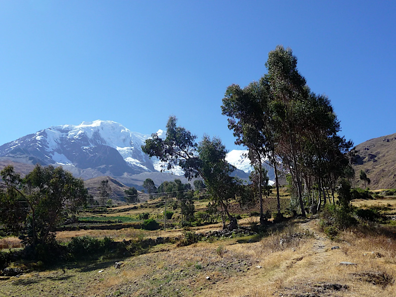P1000879.jpg
