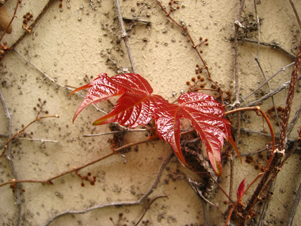 06.jpg