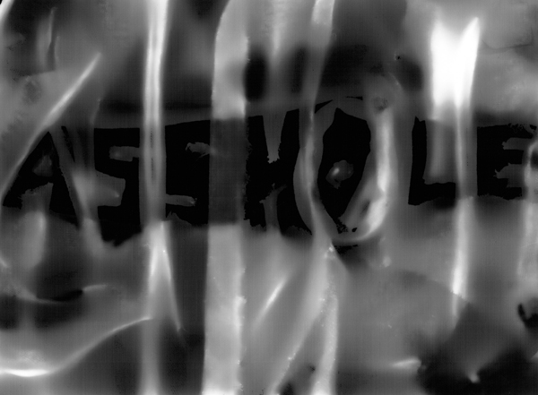photogram03.jpg