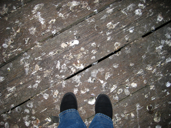 01.jpg