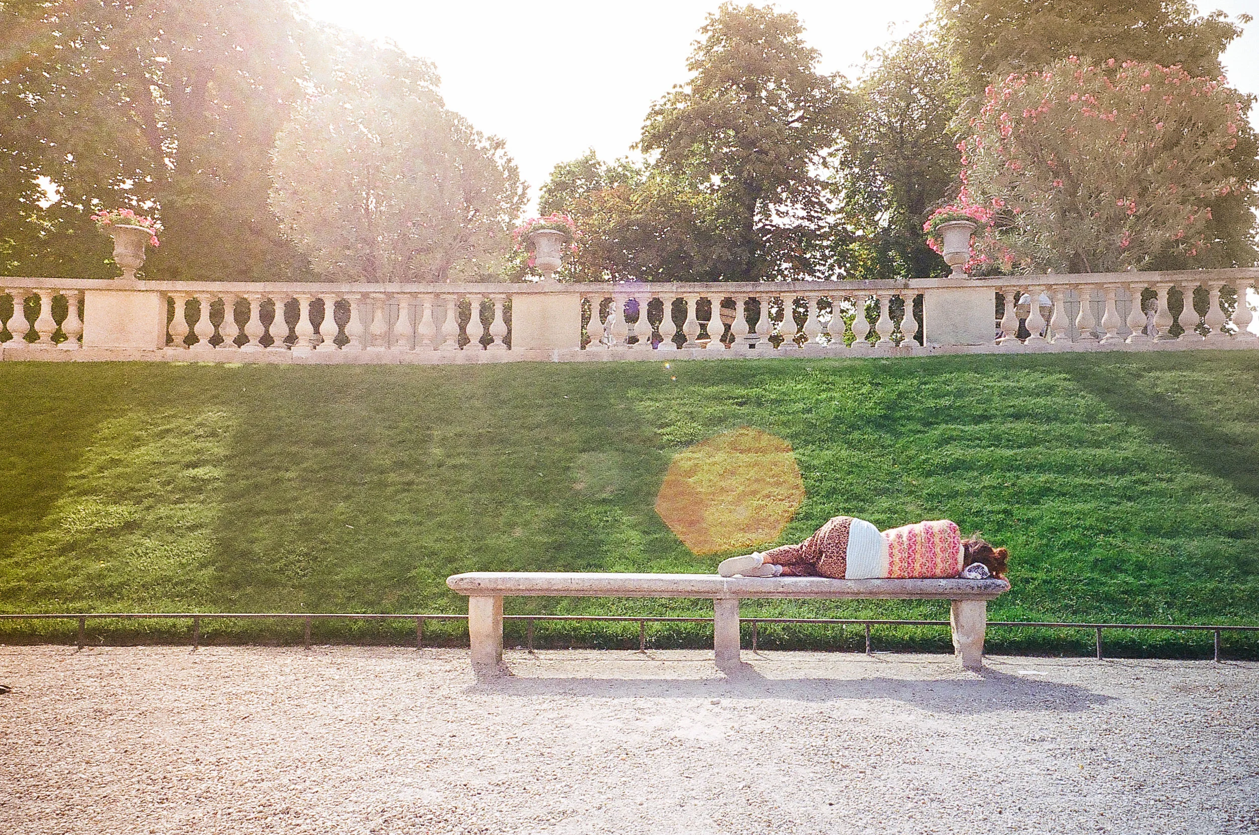 photo-aliciarose-paris-slumber-and-sunbeams-2.jpg