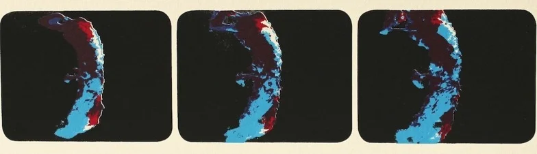 shapeimage_1.jpg