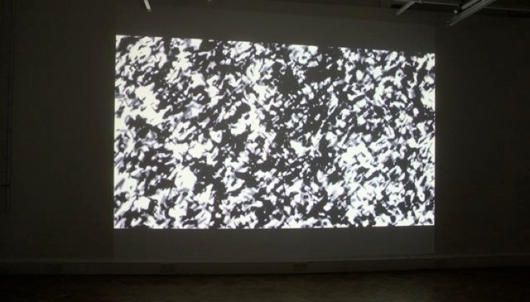 shapeimage_1.jpg