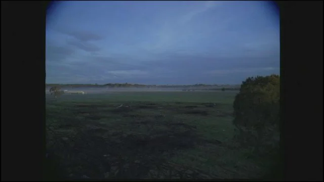 Silent Landscape 2010