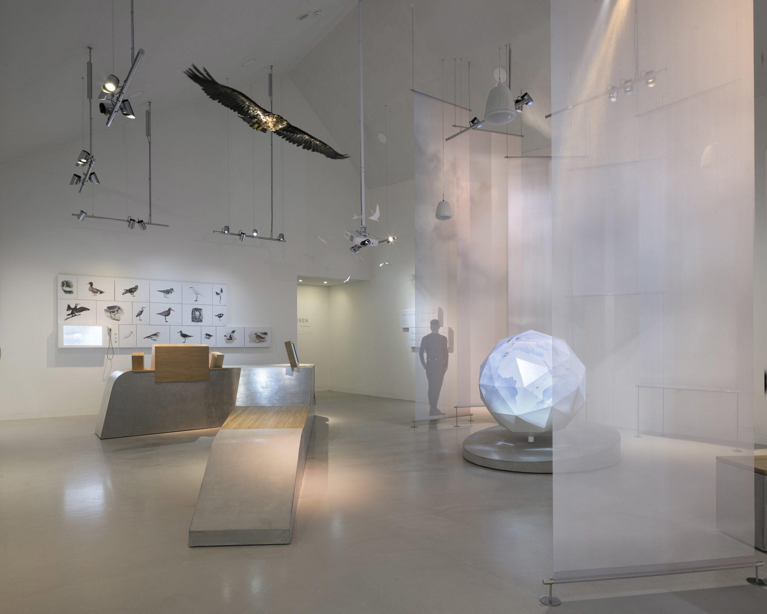 Tinted lightingThe elevated world in which birds often inhabit of birds is high in the sky where natural light is in constant change. From moonlight, sunrise and sunset, the birds experience an extensive variety of colours throughout the passage of …