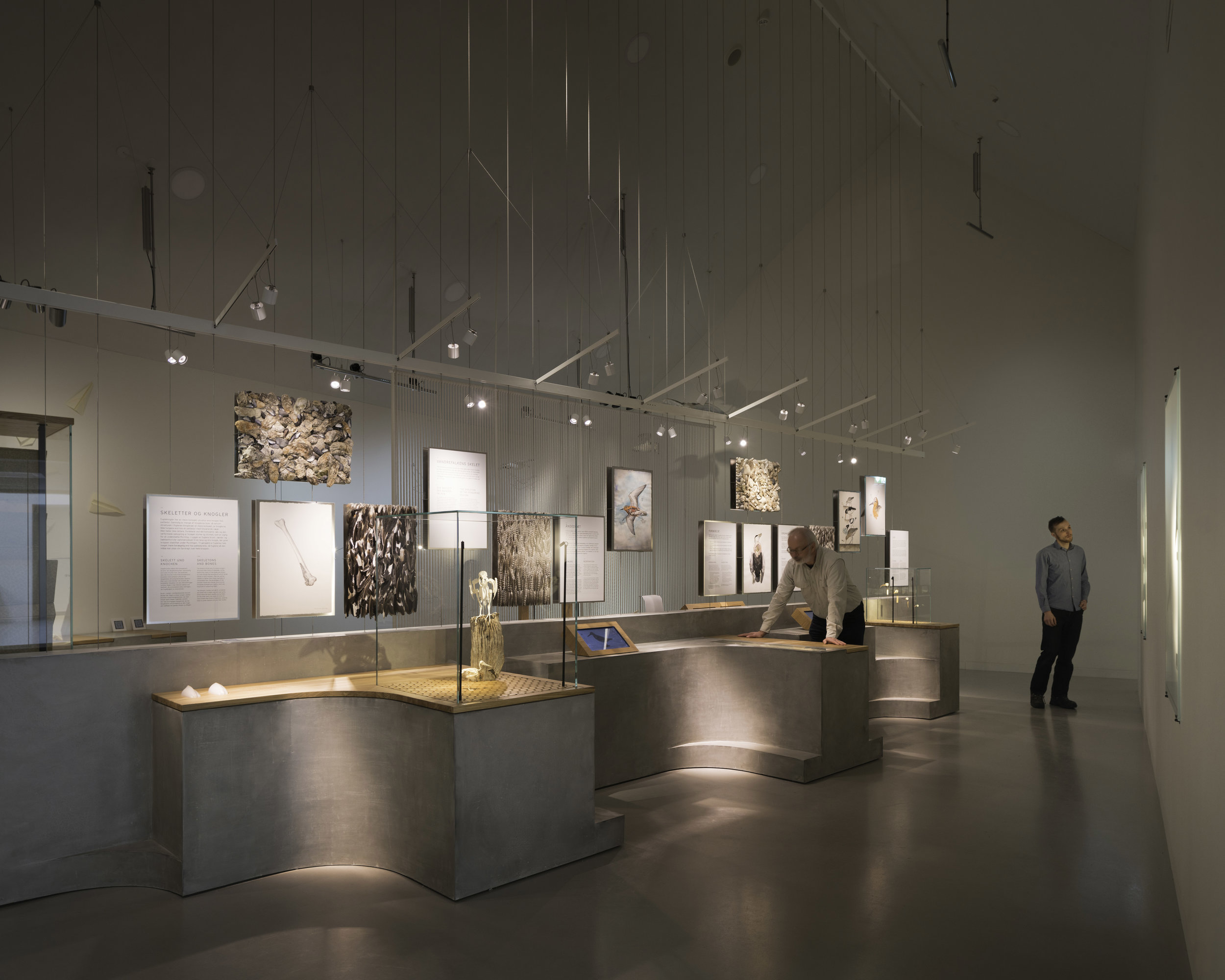 The Cabinet of Curiosity Understanding the complexities of the anatomy of birds requires focus and attention to detail. The lighting for the cabinet of curiosity is integrated into a bespoke spine-rig that references the skeletal system of a bird. T…