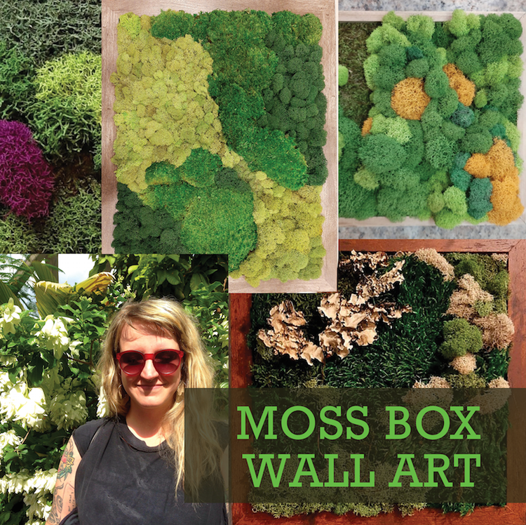 Moss Wall Art Workshops – Outside In