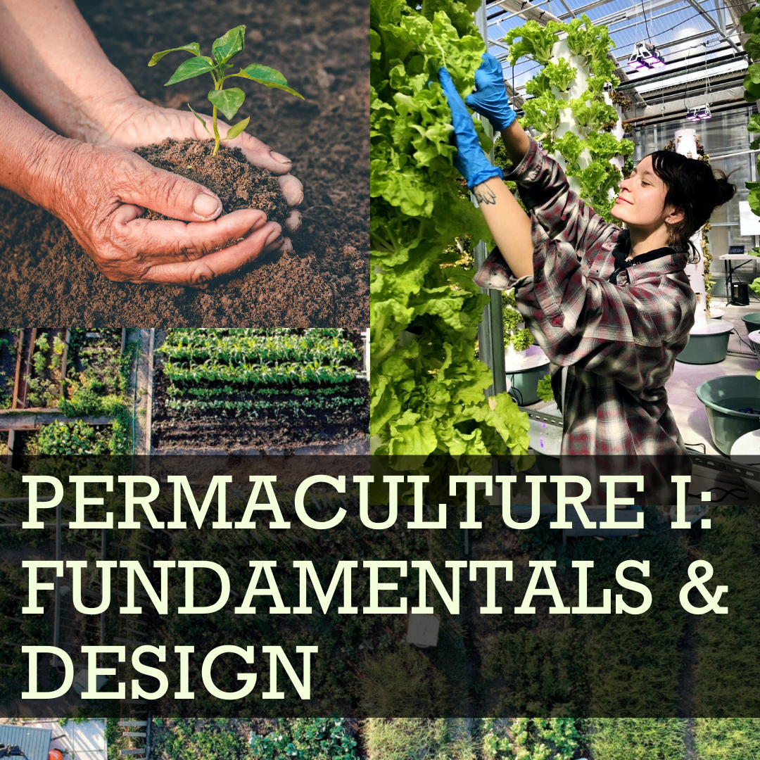 Permaculture I Fundamentals & Design.png