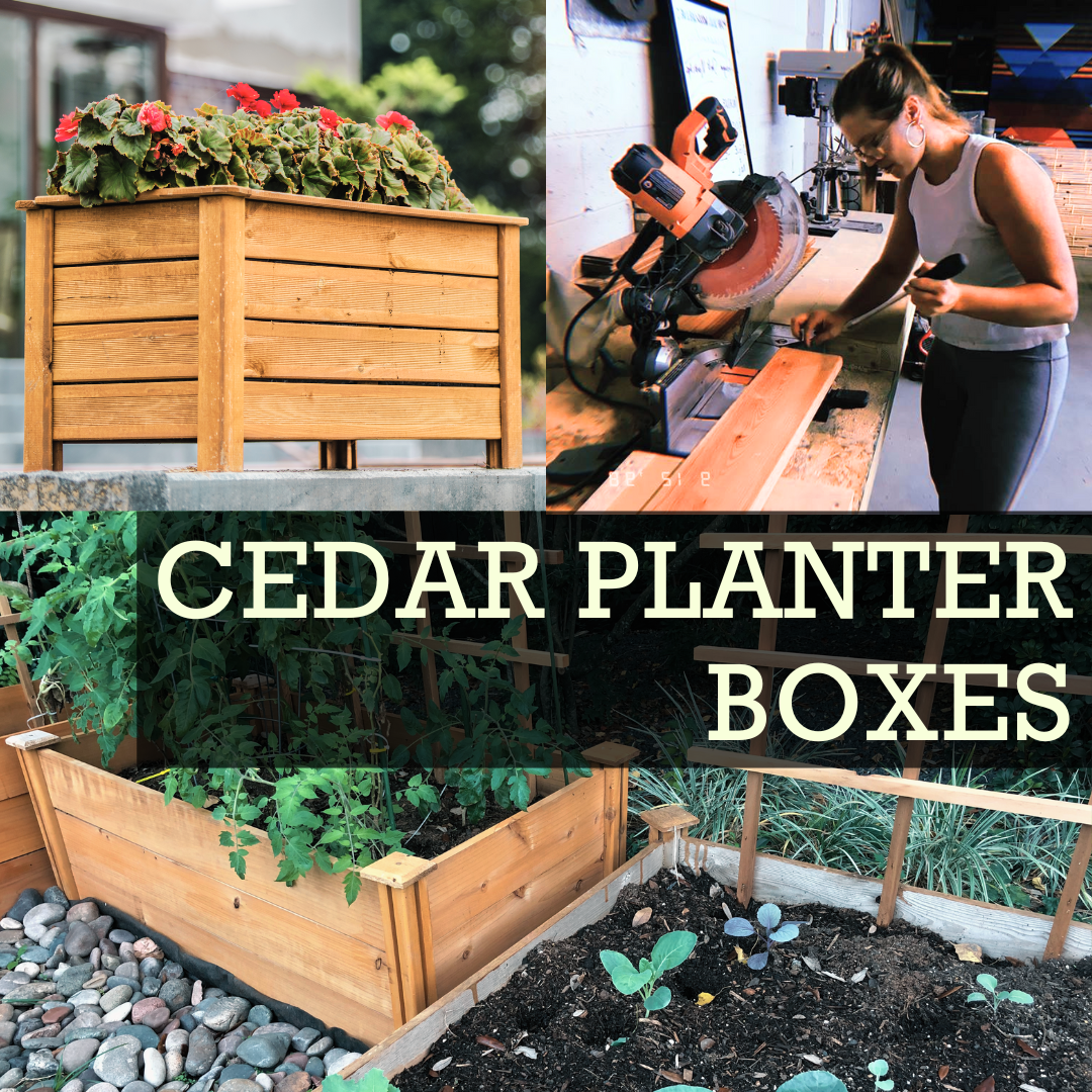 Cedar Planter Boxes.png