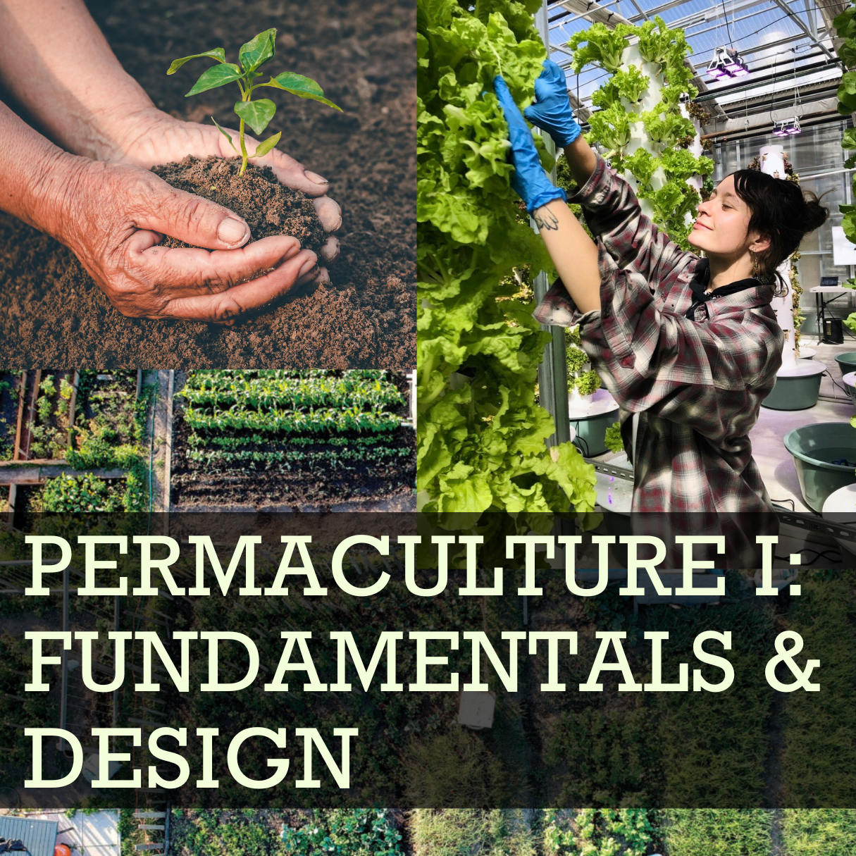Permaculture I Fundamentals & Design ggggg.png